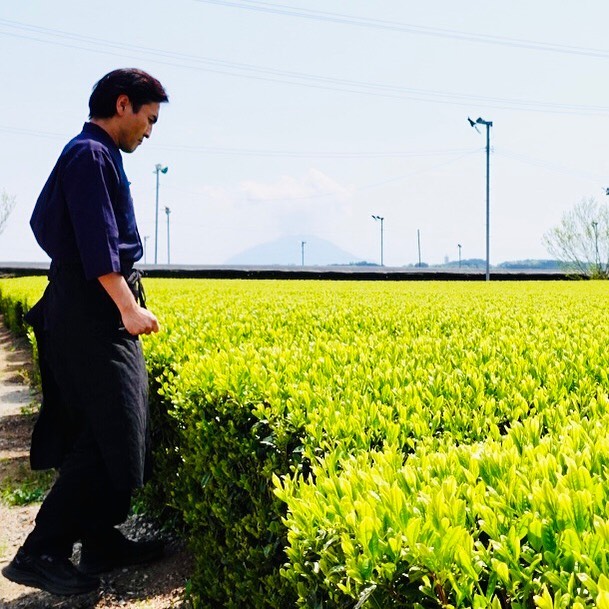 鹿児島らしい茶畑遠くに見えるのは桜島毎日テイスティングをおこなっていますが、日々変化する茶葉の状況に応じて、仕入れやお茶作りに取り組んでいます今年は今年の新茶の良さと価値を創造していきます